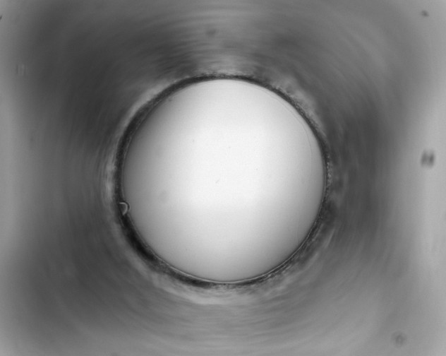 X0000102350012200808151801