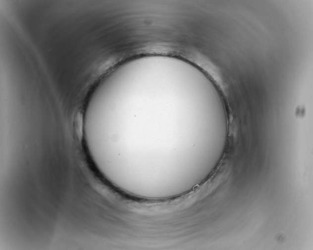 X0000102350013200808151801