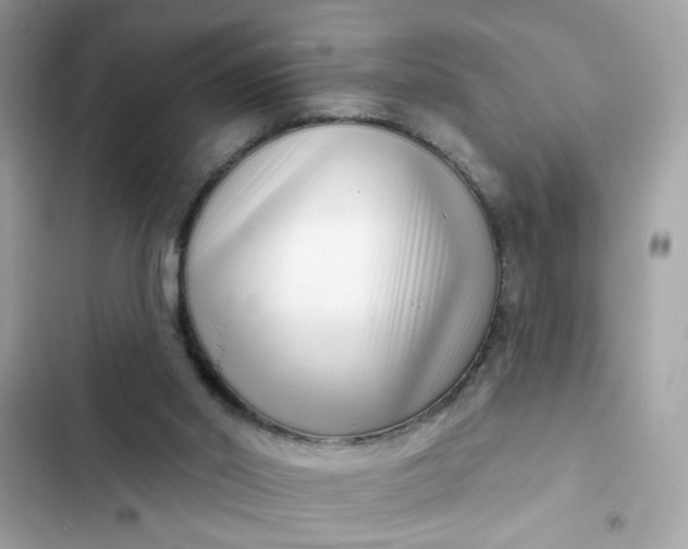 X0000102350014200808151801