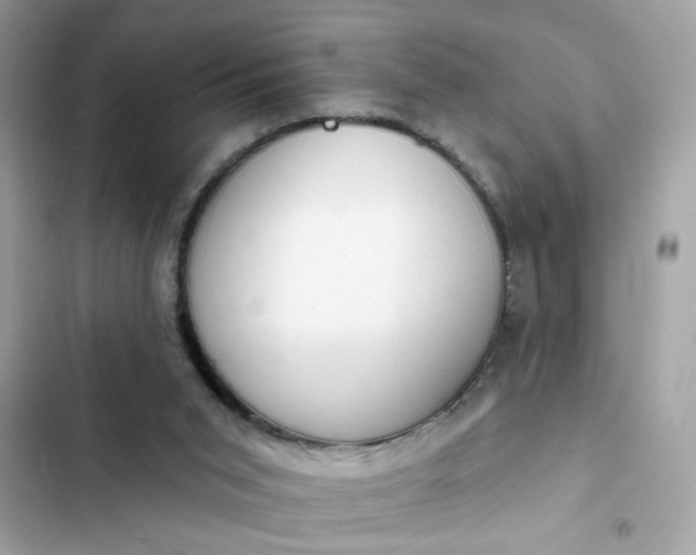 X0000102350015200808151801