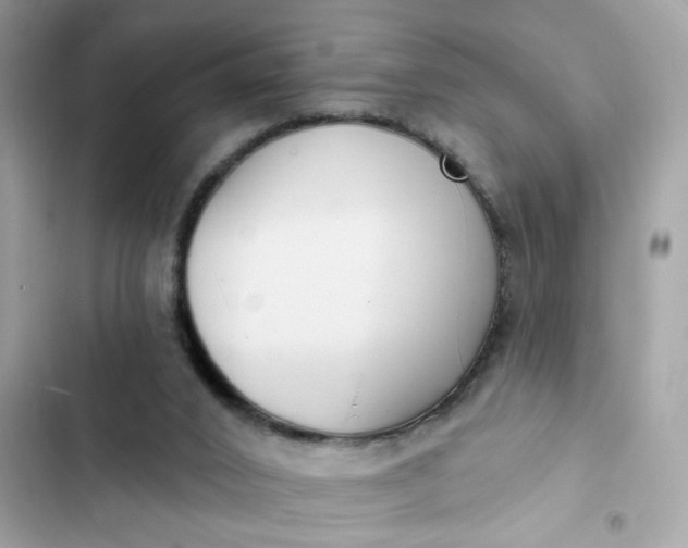 X0000102350016200808151801