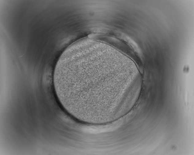 X0000102350017200808151801