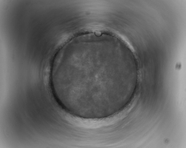 X0000102350018200808151801