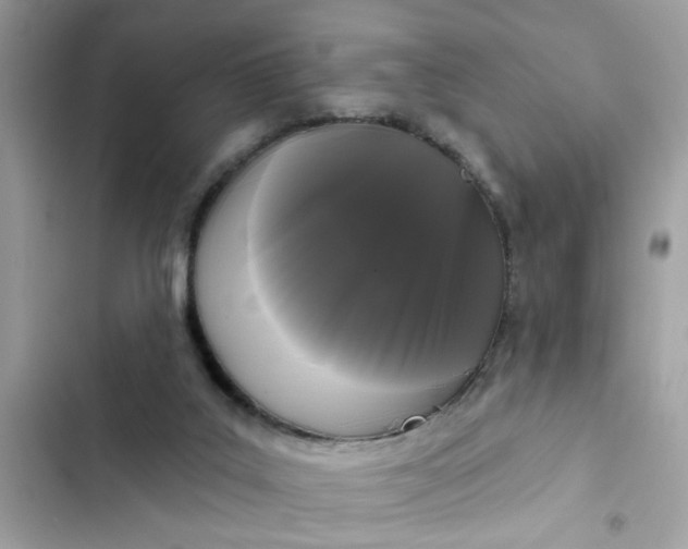 X0000102350019200808151801