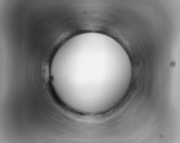 X0000102350020200808151801