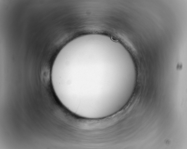 X0000102350021200808151800