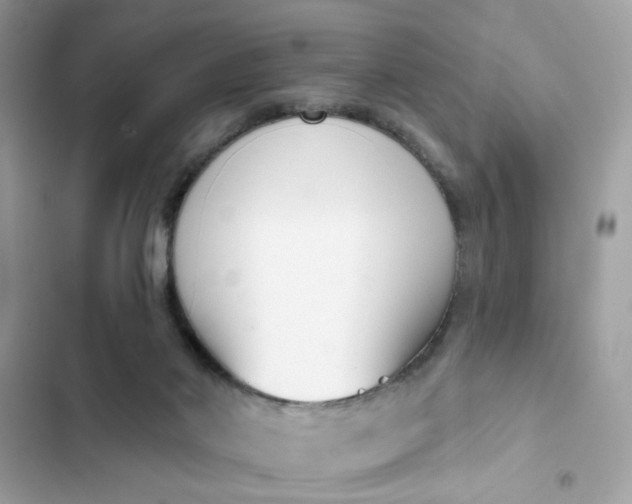 X0000102350022200808151800