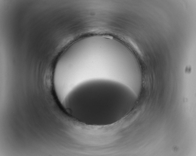 X0000102350023200808151800