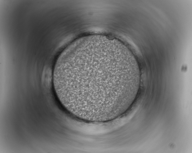 X0000102350024200808151800