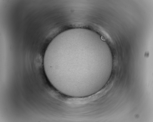 X0000102350025200808151800