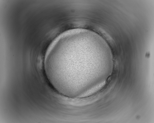 X0000102350026200808151800