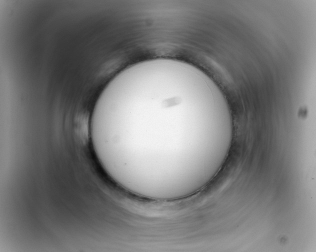 X0000102350028200808151800