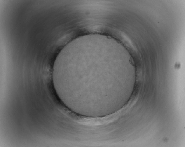 X0000102350029200808151800