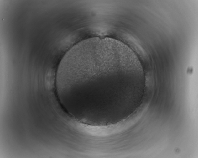 X0000102350030200808151800