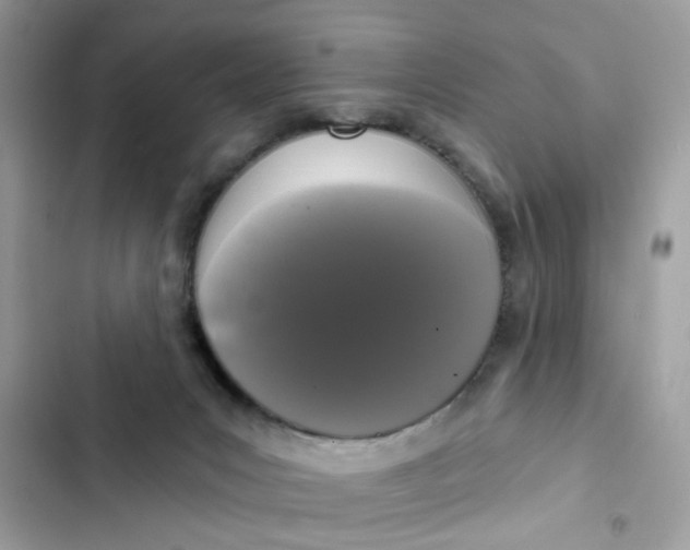 X0000102350031200808151800