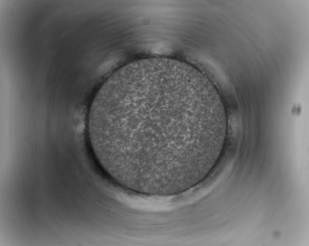 X0000102350032200808151800