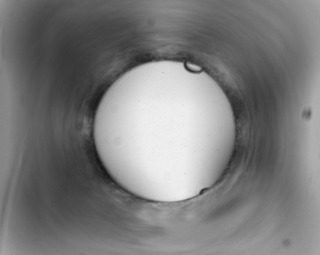 X0000102350033200808151800