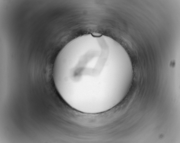 X0000102350034200808151800