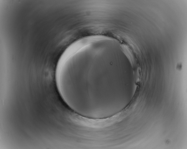 X0000102350035200808151800