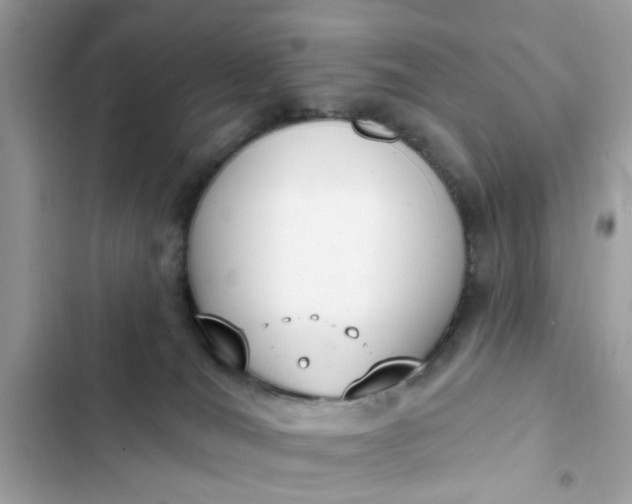 X0000102350036200808151800