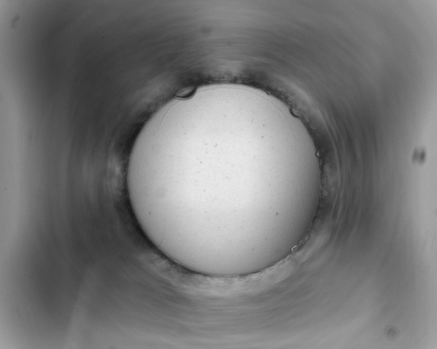 X0000102350037200808151800