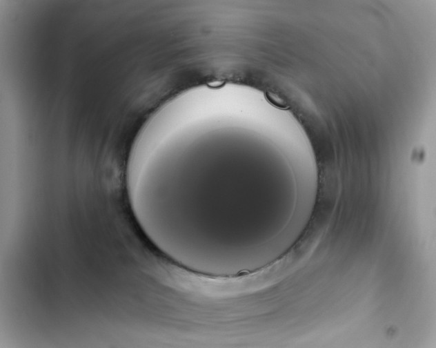 X0000102350039200808151800