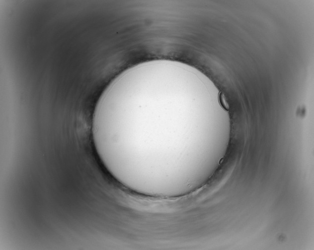 X0000102350040200808151800