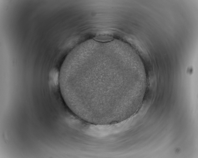 X0000102350041200808151800