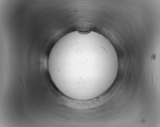 X0000102350042200808151800