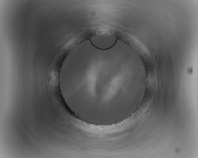 X0000102350043200808151800