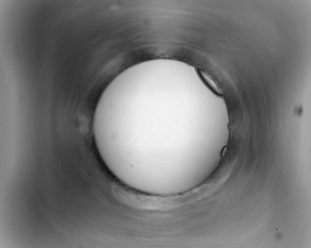 X0000102350044200808151800