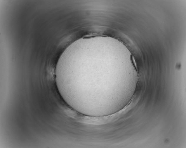 X0000102350045200808151800