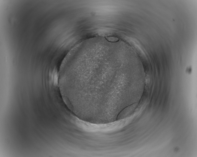 X0000102350046200808151800