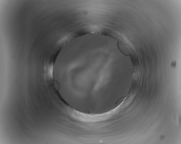 X0000102350047200808151800