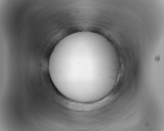 X0000102350048200808151800