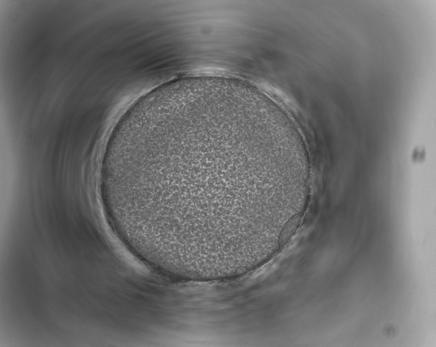 X0000102350049200808151759