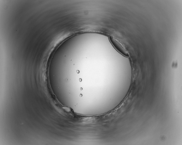 X0000102350050200808151759