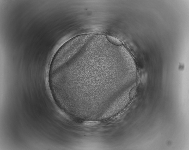 X0000102350051200808151759