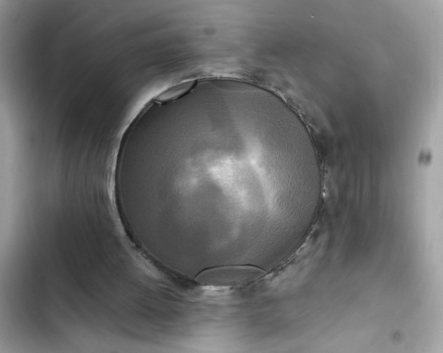 X0000102350052200808151759