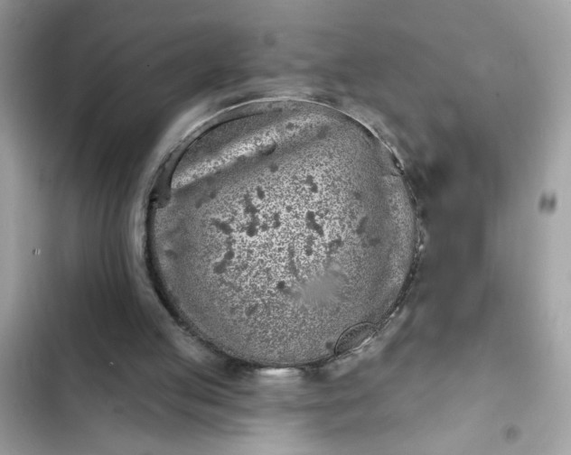 X0000102350053200808151759