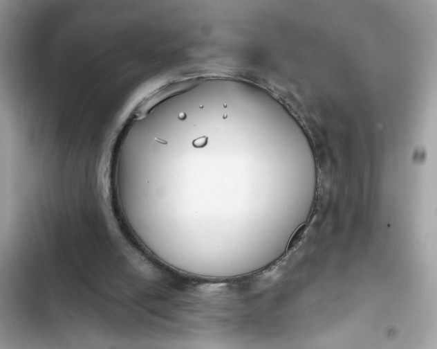 X0000102350054200808151759