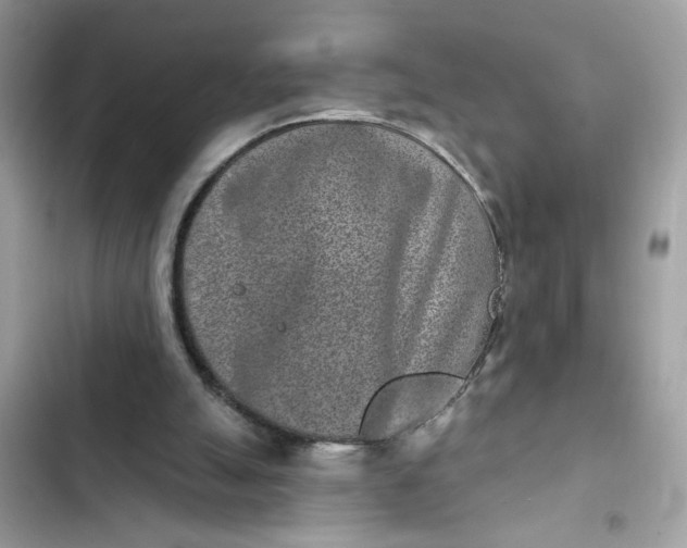 X0000102350055200808151759