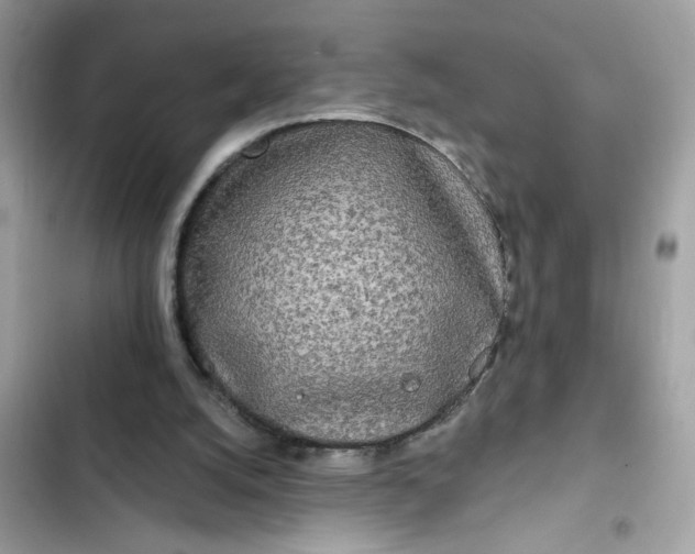 X0000102350056200808151759