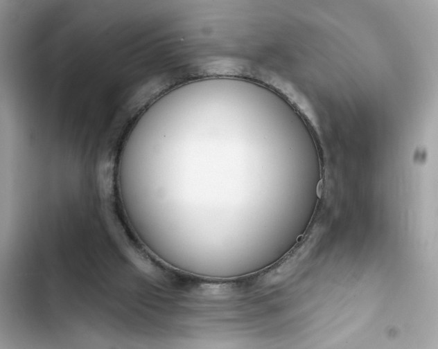 X0000102350057200808151800