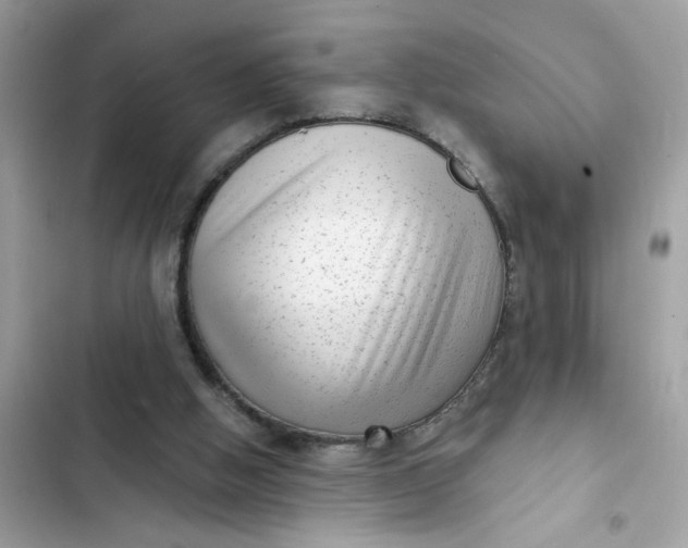 X0000102350058200808151800