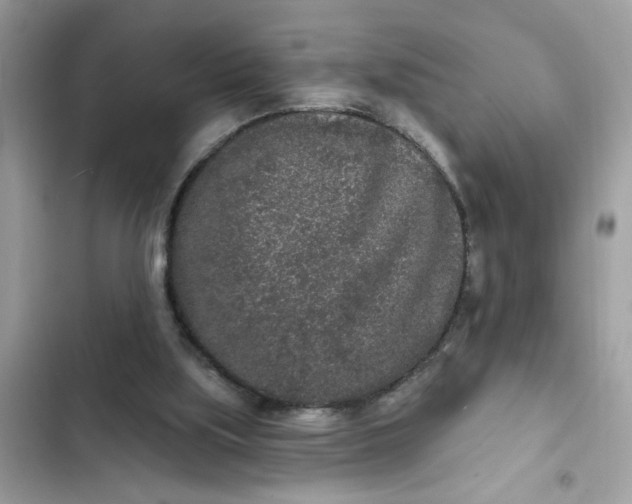 X0000102350059200808151800