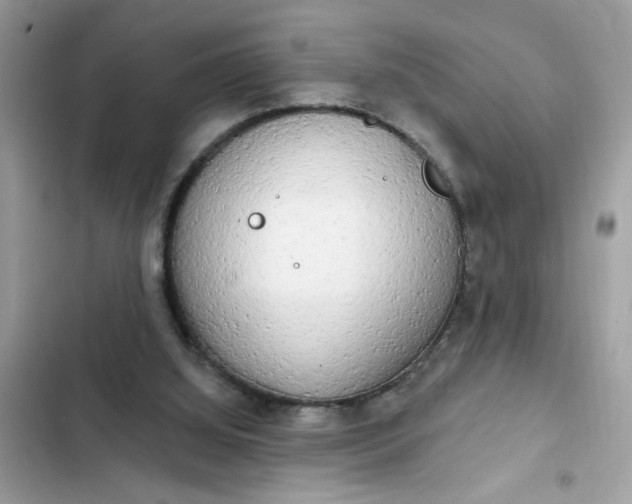 X0000102350060200808151800