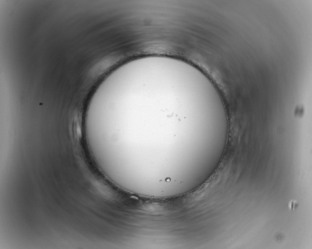 X0000102350062200808151800