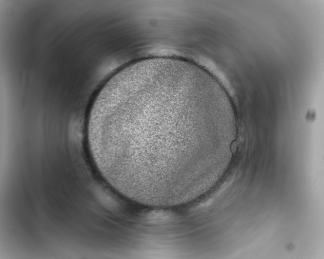 X0000102350063200808151800