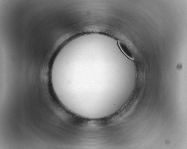 X0000102350064200808151800